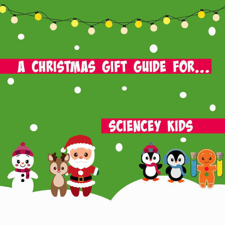 A Christmas Gift Guide For Sciencey Kids